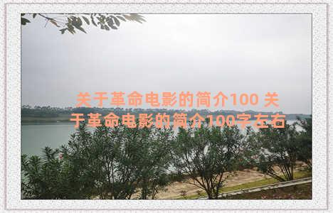 关于革命电影的简介100 关于革命电影的简介100字左右